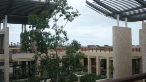 Modern resort architecture surrounded by tropical landscaping
