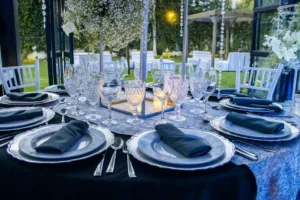 Elegant navy-and-white outdoor dinner table setting