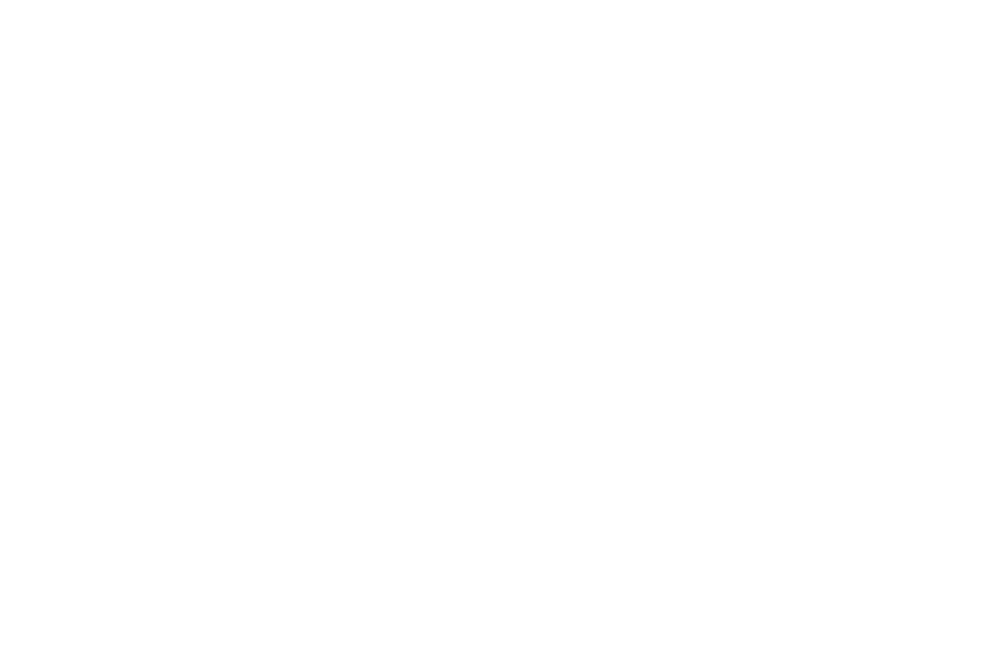 ElegantOccasions_White_Transparent